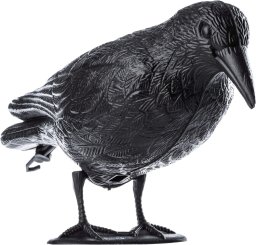TG60297 DUŻY KRUK ODSTRASZACZ PTAKÓW GOŁĘBI SZPAKÓW