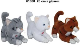 Sunday Kot glos 26cm MIX