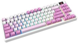 KEYBOARD GAMING VIOLET US/FORGE GK600 TKL W VIOLET MSI