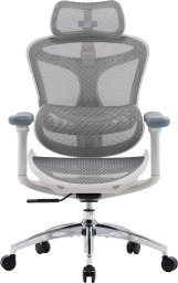Fotel biurowy Sihoo DORO C300L Mesh White