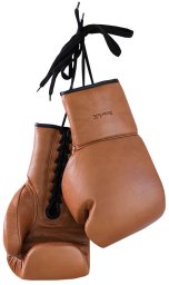 BenchK Leather Boxing Gloves