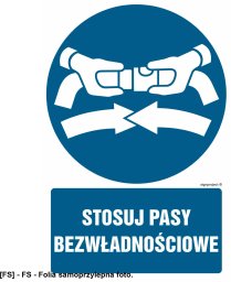 TD Systems GL041 - Stosuj pasy bezwładnościowe 500x750