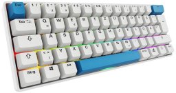 Sharkoon Gaming Tastatur Skiller SGK50S4 Gen2 PBT wei-gelRGB