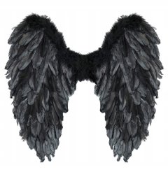 Widmann Czarne skrzydła pióra