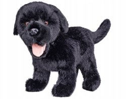 *****Labrador pluszowy 23cm 90455 04552