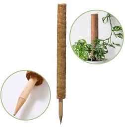 Palik kokosowy 60 cm podpora do roślin tyczka