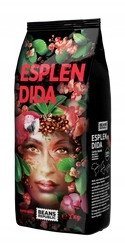 Kawa ziarnista Blue Bird Republic Kawa ziarnista Beans Republic Esplendida 1kg