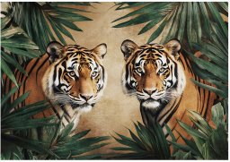 Fototapeta Winylowa Tygrys Zwierzęta Do Sypialni Salonu 416x254