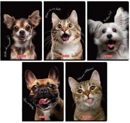 Zeszyt do słówek A6/16K kratka Crazy Animal(20szt)