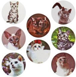 Naklejki papierowe na taśmie Koty 25mm 500szt