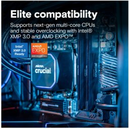 DIMM 32 GB DDR5-6400(2x 16 GB)Dual-Kit(schwarz, CP2K16G64C32U5B, Pro, INTEL XMP, AMD EXPO)