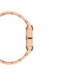 Zegarek DANIEL Wellington Iconic Link DW00100209