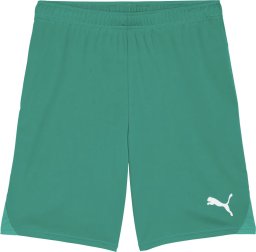 Puma Spodenki męskie Team Goal zielone 705752 05 S