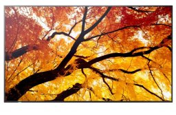 Monitor NEC Ekran MultiSync M502