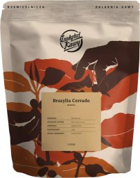Kawa ziarnista Instytut Kawy Brazylia Cerrado 1 kg