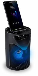 Głośnik Dunlop Głośnik Bluetooth TWS 15 W Czarny USB