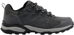 Buty trekkingowe męskie Jack Wolfskin Buty trekkingowe męskie REFUGIO TEXAPORE LOW M (4049851_6945) 44.5