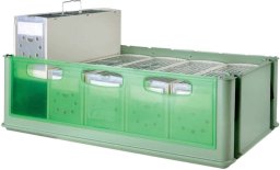 ART-MET Maxi Tino, skrzynka, z 5 transporterami, dla ptaków, zielony, 66,8 x 34,3 x wys21 cm