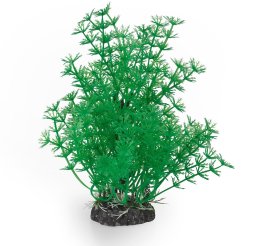 Terra Natura Aqua Natura, roślina, do dekoracji akwarium, zielona, plastikowa, 20 cm, bardzo gęste pędy kopru