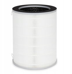 Filtr powietrzny do oczyszczacza powietrza Webber AP9650