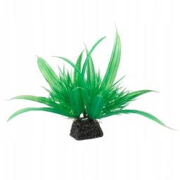 AquaNatura Aqua Natura, roślina, do dekoracji akwarium, zielona, plastikowa, 10 cm , spirulina