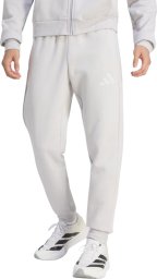 Adidas Spodnie męskie adidas Entrada 26 Sweat szare JZ9139 L