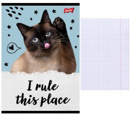 Zeszyt A5/32K kratka Caturday(15szt)