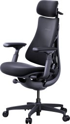 Krzesło biurowe LiberNovo Omni Dynamic Czarne