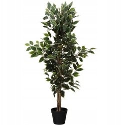 Sztuczne drzewko Fikus w czarnej doniczce, 115 cm