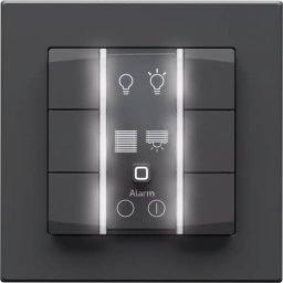 eQ-3 Homematic IP Przycisk ścienny - 6-krotny 230 V antracyt