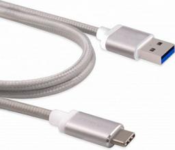 Kabel USB Innergie USB-A - USB-C 1 m Srebrny (3082186500)