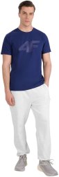 4f KOSZULKA MĘSKA CASUAL BAWEŁNIANA 4F 4FWMM00TTSHM2257-20S