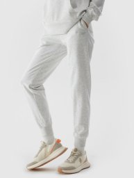 4f Spodnie 4F 4FWSS24TTROF606 XXL szare 27M