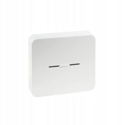 Immergas Moduł Wi-Fi Dominus V2
