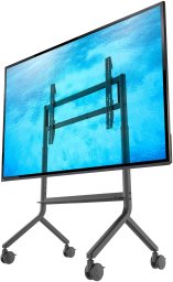 North Bayou P100 - Solidny mobilny stojak do tablic interaktywnych ekranów multimedialnych i telewizorów 65"-90"
