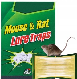 Realne Ceny Lep pułapka na myszy klejaca 1szt