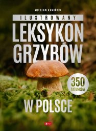 Dragon Ilustrowany leksykon grzybów w Polsce EDUKAMP