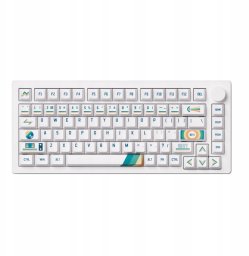 Klawiatura Akko Klawiatura Mechaniczna Akko x MonsGeek M1 V5 Via 1980s Aluminium Botany