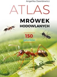 SBM Atlas mrówek hodowlanych