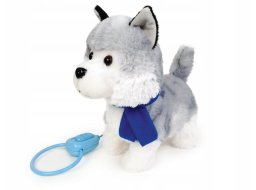 Artyk Pies chodzący na smyczy z szalikiem