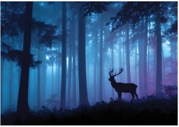 W&G Fototapeta Na Flizelinie Las Jeleń Do Sypialni Salonu 400x280