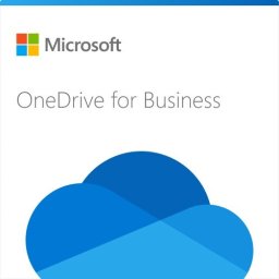 Program Microsoft OneDrive for business (Plan 2) (CFQ7TTC0LH1M:0001)