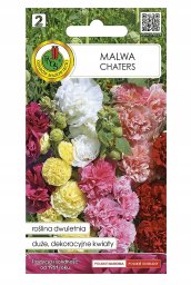 Apte Malwa Chaters mieszanka nasion pełnokwiatowa dwuletenia ogrodowa 0,5g 1 szt