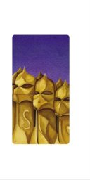 Hamelin Karnet 12x23cm + koperta Gaudi Guer Casa Mila