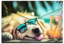 Panta Plast Koperta A5 PP na napę z nadrukiem Chillout Dog