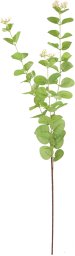 Direct Home and Garden Sztuczna gałązka eukaliptus 89 cm