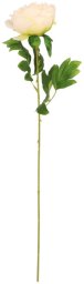 Direct Home and Garden Sztuczna gałązka piwonia 60 cm kremowa