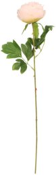 Direct Home and Garden Sztuczna gałązka piwonia 60 cm różowa