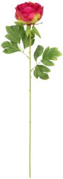 Direct Home and Garden Sztuczna gałązka piwonia 60 cm czerwona