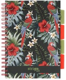 Strigo Kołozeszyt Pads B5/100K kratka Tropiki Papuga